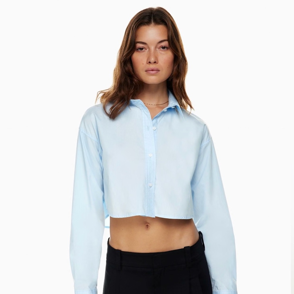 Aritzia Sunday Best Sky Blue Cropped Button Down Shirt